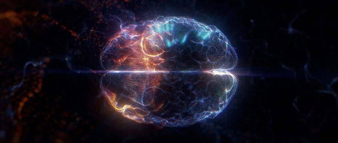 3D generated graphic of the brain