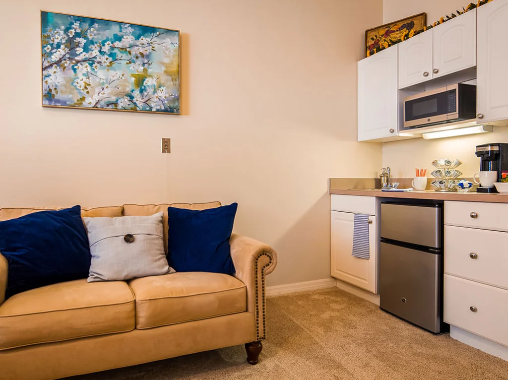 Apartment Living Room and Kitchen