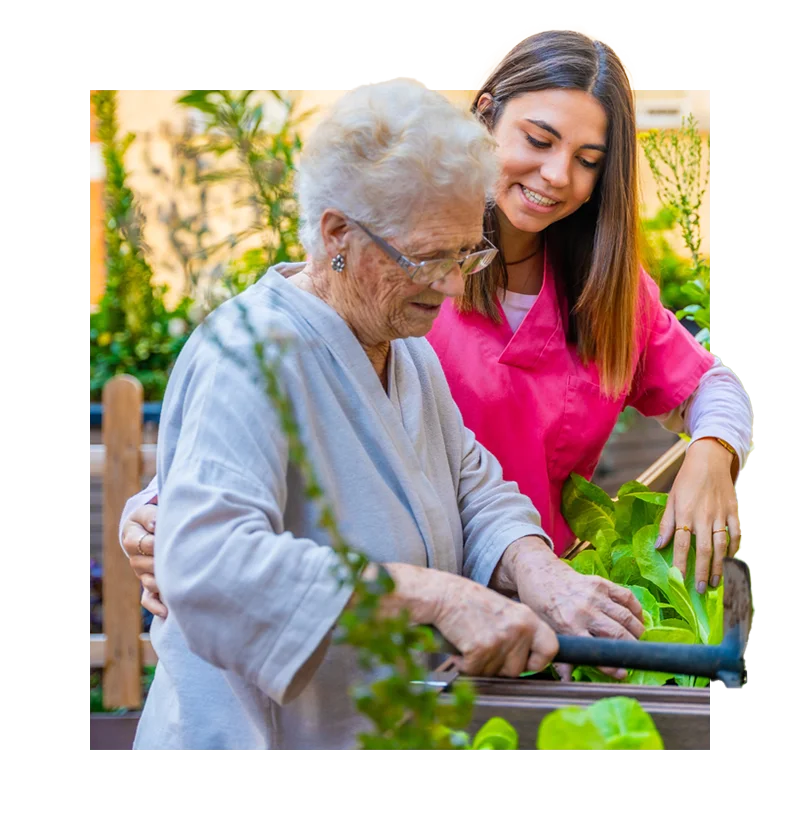 SAMPLE classic image template2 1