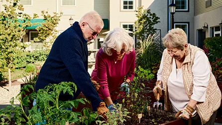 cropped AR LEGEND GARDEN 2777