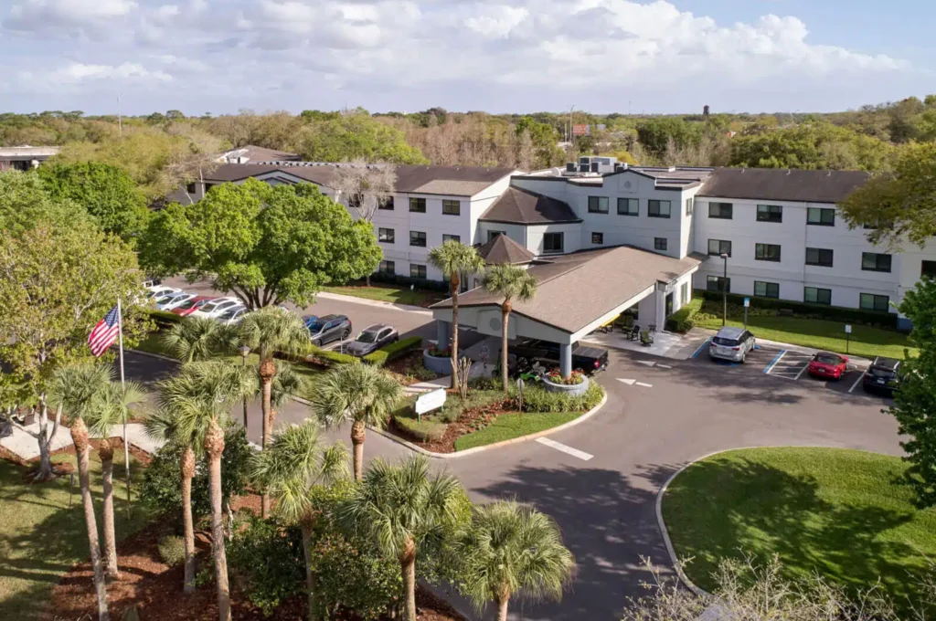 Renaissance of North Tampa